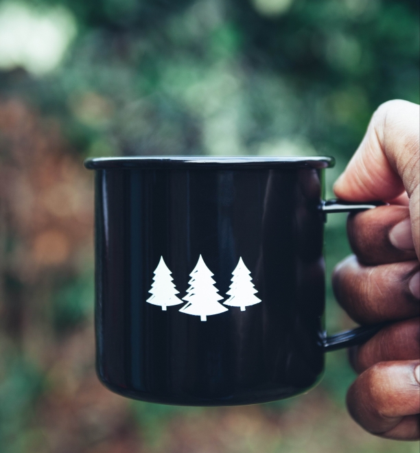 CUP W. CHRISTMAS TREES - Photo by Clem Onojeghuo on Unsplash